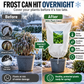 🛡️✨ 50% KORTING! Bescherm je planten vóór de eerste vorst! Deze herbruikbare winterhoes met rits en ademend materiaal houdt struiken, bomen en potplanten veilig – seizoen na seizoen!