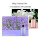 🎀Tijdelijke kortingsactie🛒Automatische Aromatherapie Diffuser