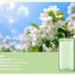 🎀Tijdelijke kortingsactie🛒Automatische Aromatherapie Diffuser