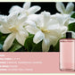 🎀Tijdelijke kortingsactie🛒Automatische Aromatherapie Diffuser