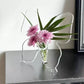 🦋 TIJDELIJKE KORTING VAN 50%! 💐 Transparante Vlindervaas – Lichtgewicht, Elegant, Klaar om als Cadeau te Geven ✨