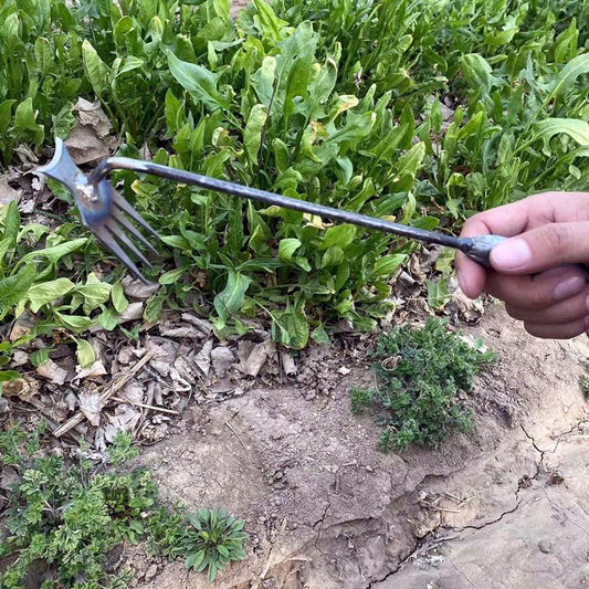 🌿✨ Handgereedschap voor onkruidverdelgers👩‍🌾KOOP 1, KRIJG 1 GRATIS