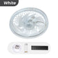 🌞Fris De Lente In Met 55% Korting!💡2-in-1 Dimbare Plafond Ventilatorlamp met Afstandsbediening – Stil, Verstelbaar en Ruimtebesparend
