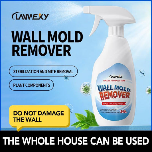 🔥Zolang de voorraad strekt 50% KORTING!🎉Lanwexy Zeer effectieve schimmelverwijderingsspray - Voorkomt hergroei van schimmel