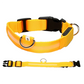🔥Hot sale🔥Verstelbare LED-hondenhalsband voor hondenveiligheid