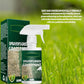 🔥Laatste dag aanbieding 50% korting🔥Groene grasverfspray🌿✅