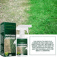 🔥Laatste dag aanbieding 50% korting🔥Groene grasverfspray🌿✅
