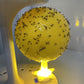 🦟✨ 50% KORTING! Nooit meer fruitvliegjes in huis! Deze kleverige bal met LED-licht lokt en vangt ze dag én nacht – giftvrij, veilig voor kinderen en huisdieren. Wegwerp, klaar!
