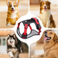 🐶Hondentuig zonder trekkracht met riem en LED-halsband – Veilig en comfortabel ✨