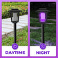 🦟⚡ 56% KORTING! Zonne-energie muggenlamp — zeer effectieve muggenbestrijding,  jouw terras wordt een no-fly zone!