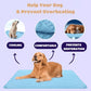 ⏰ 50% KORTING 🐾 Kat & Hond Koelmat, natuurlijke koeling zonder stroom & gel, diverse maten