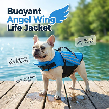 🐶 50% KORTING – Engelvleugel Zwemvest Voor Honden | Veilig En Comfortabel Zwemmen Met Stevig Handvat