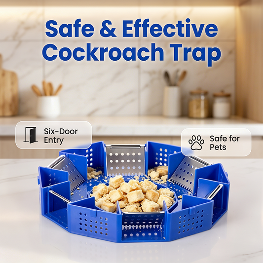Kakkerlakkenval zonder gif – 6-deurs vangkooi voor effectieve ongediertebestrijding 🪳