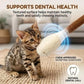 Interactief Kattenspeeltje met Kattenkruid – Leuk, Activerend & Verlicht Verveling 🐱✨