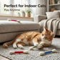 Interactief Kattenspeeltje met Kattenkruid – Leuk, Activerend & Verlicht Verveling 🐱✨