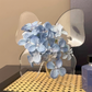 🦋 TIJDELIJKE KORTING VAN 50%! 💐 Transparante Vlindervaas – Lichtgewicht, Elegant, Klaar om als Cadeau te Geven ✨