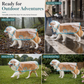 🔥📢 Tijdelijke aanbieding! 🔥🐕 Transparante waterdichte regenjas voor honden – Houd je hond droog en goed zichtbaar tijdens regenachtige wandelingen 🌧️
