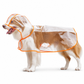 🔥📢 Tijdelijke aanbieding! 🔥🐕 Transparante waterdichte regenjas voor honden – Houd je hond droog en goed zichtbaar tijdens regenachtige wandelingen 🌧️