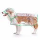 🔥📢 Tijdelijke aanbieding! 🔥🐕 Transparante waterdichte regenjas voor honden – Houd je hond droog en goed zichtbaar tijdens regenachtige wandelingen 🌧️