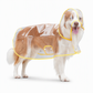 🔥📢 Tijdelijke aanbieding! 🔥🐕 Transparante waterdichte regenjas voor honden – Houd je hond droog en goed zichtbaar tijdens regenachtige wandelingen 🌧️