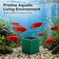 🐠 Actieve-Koolfilterblok voor Aquariums