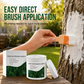 🥳2026 HOT SALE🥳💞Meer dan 50.000 verkocht! 🌳🛡️ 50% KORTING! Boomstam witwas beschermingsset – 300g inclusief kwast, beschermt de schors tegen vorst en insecten. Eenvoudig aan te brengen met de kwast, bescherming voor alle seizoenen! ❄️✅