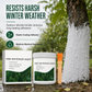 🥳2026 HOT SALE🥳💞Meer dan 50.000 verkocht! 🌳🛡️ 50% KORTING! Boomstam witwas beschermingsset – 300g inclusief kwast, beschermt de schors tegen vorst en insecten. Eenvoudig aan te brengen met de kwast, bescherming voor alle seizoenen! ❄️✅